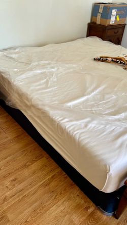 King sized Mattress and Box spring