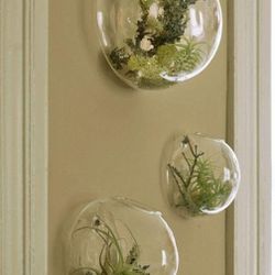 Wall Mounted Hanging Planters 