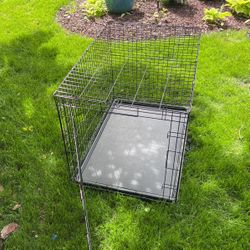Dog Cage (collapsible) Clean And Great Condition 