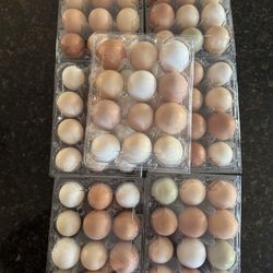Eggs 1 dozen $4