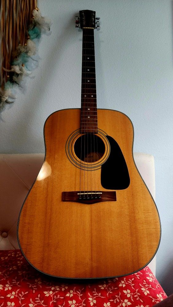 Fender Acoustic DG-8S NAT