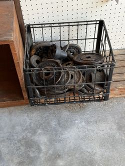 FREE WEIGHTS
