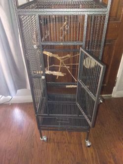 Bird Cage