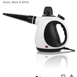Handheld Steamer - Like New