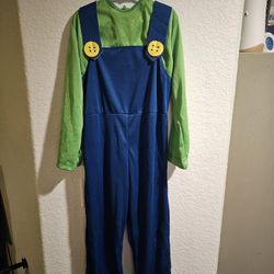 Luigi costume