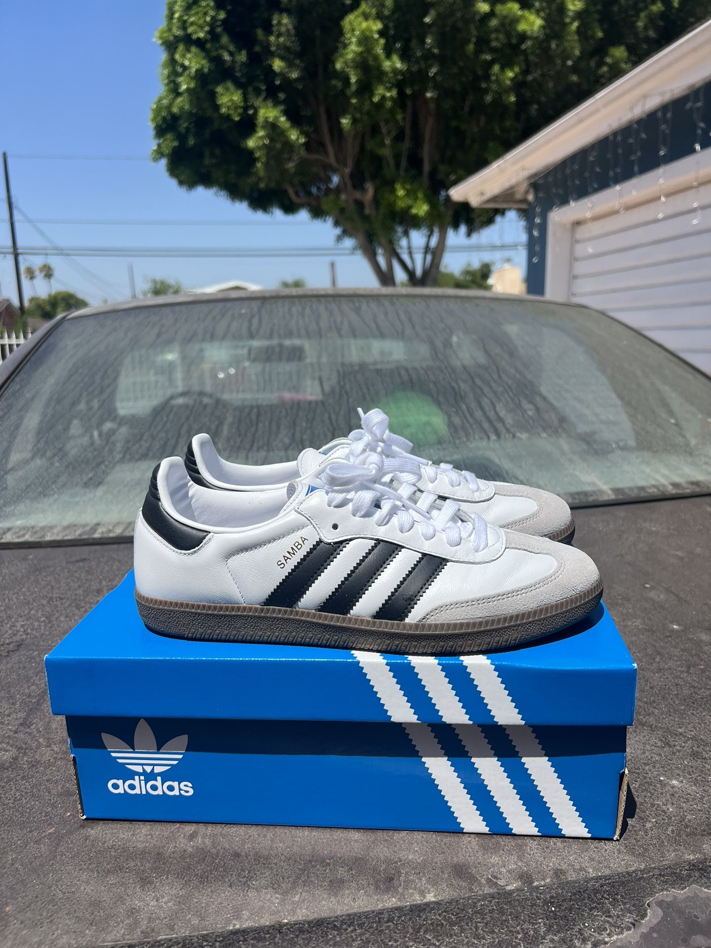 Adidas Samba