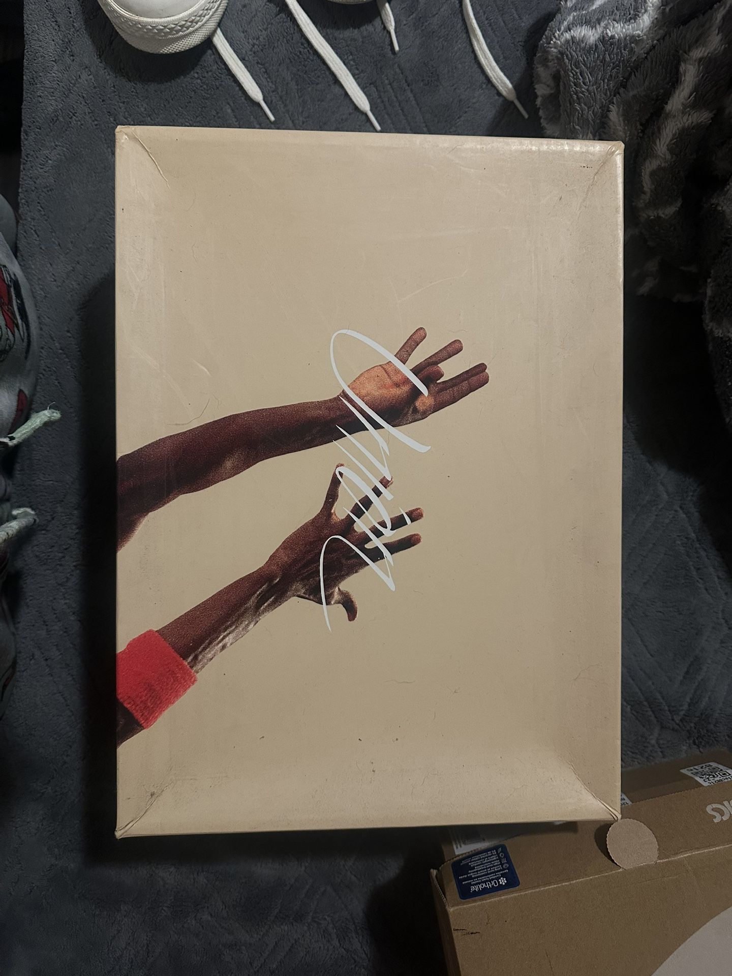 Jordan Union 4’s Guava