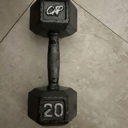 1 Single 20 Pound Dumbell