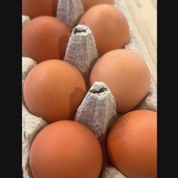 Pasture Raised Eggs 