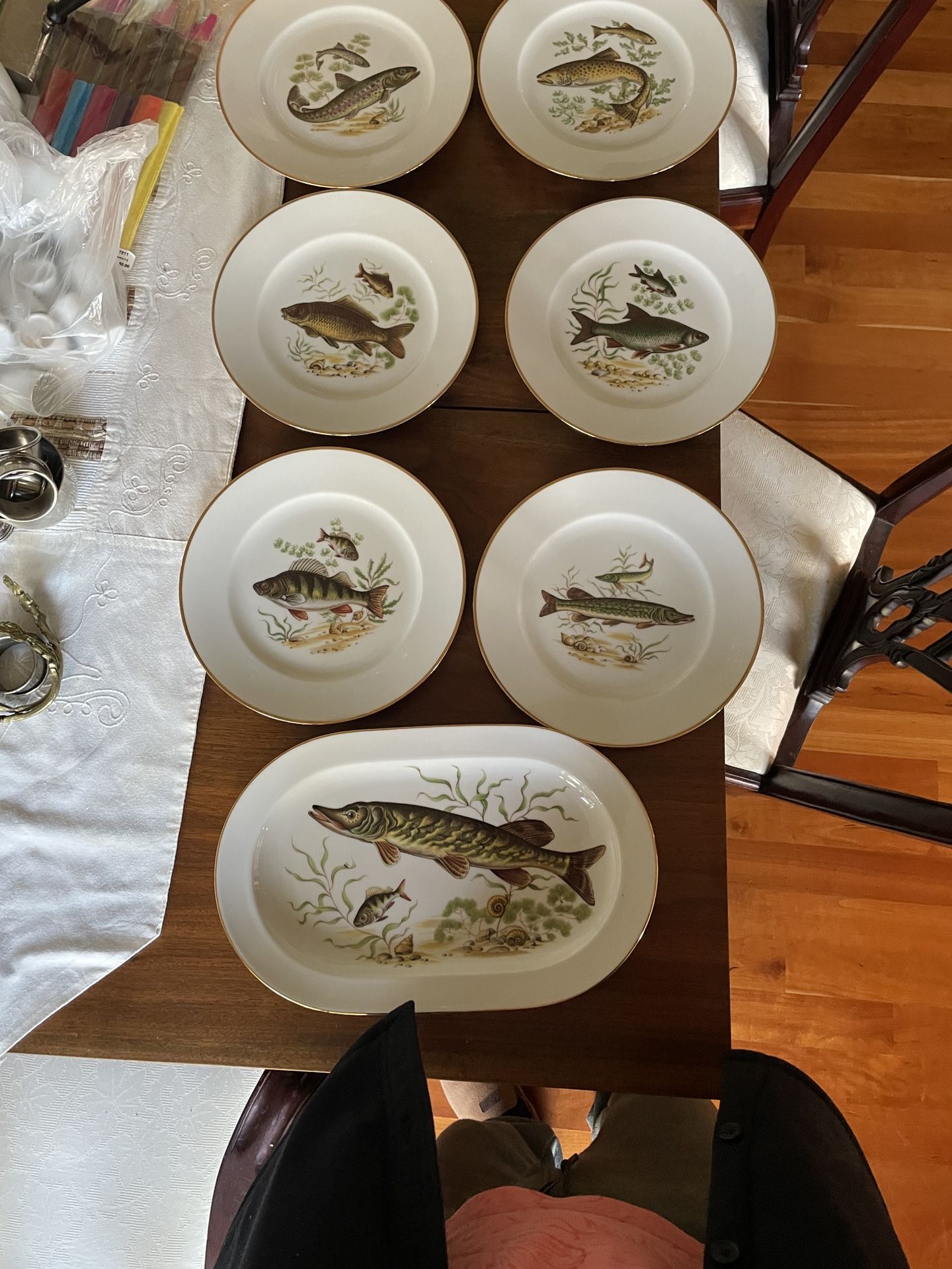 Unique German China For Fish Lovers