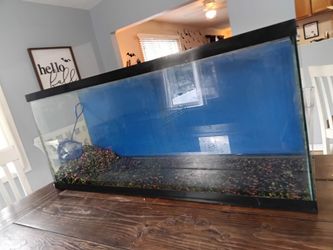 55 gallon fishtank