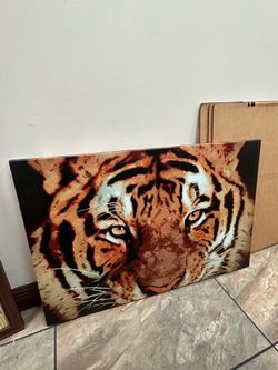 Various Pictures