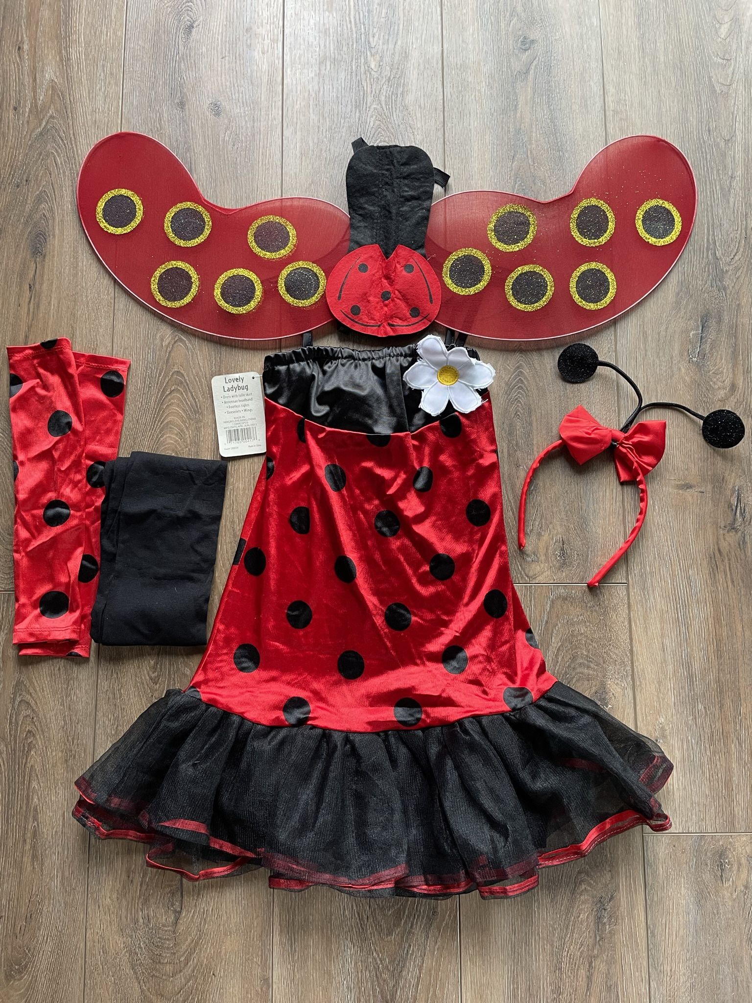 Halloween& Ladybug costume Size 12-14