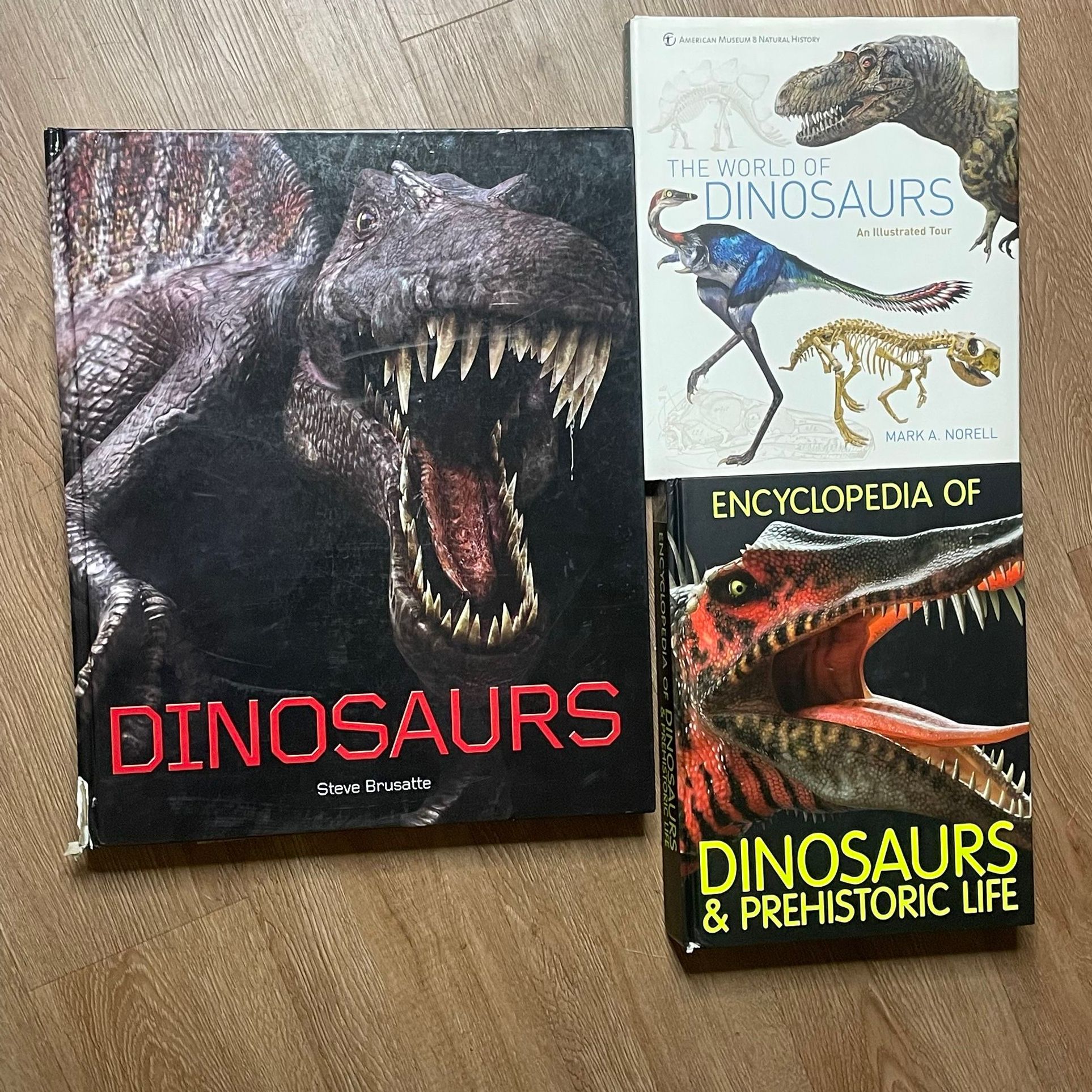Lot of 3 Dinosaur Books Illustrated Encyclopedia Science Nature Prehistoric Life