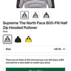 supreme northface puffer