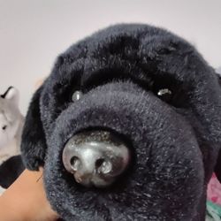 Plushie