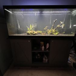 75 Gallon Fish Tank 