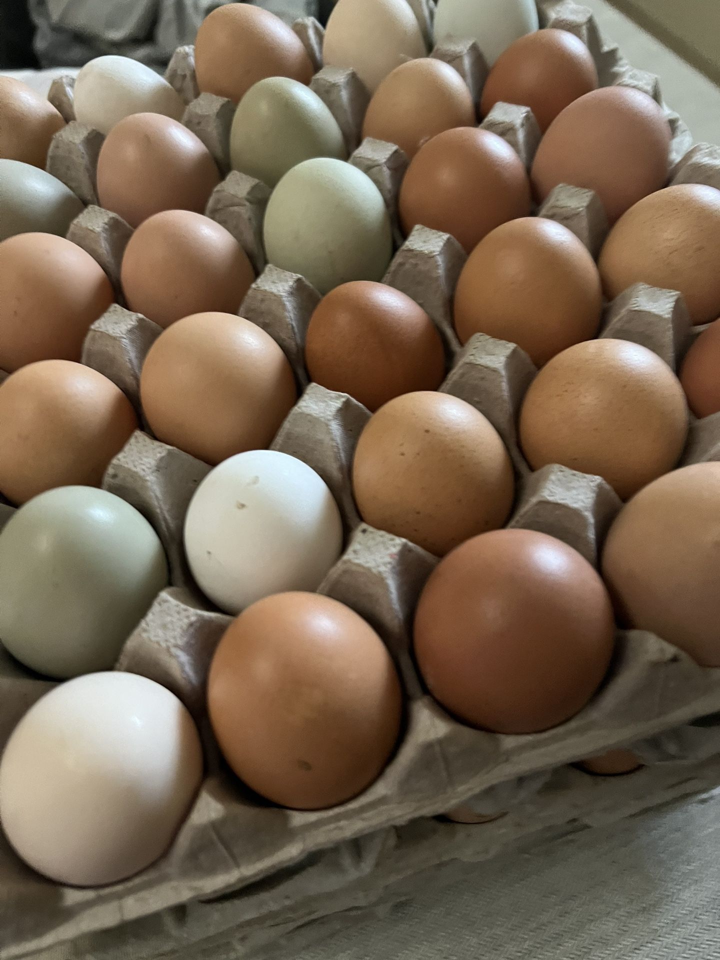 Fresh Eggs Unrefrigerated And Unwashed