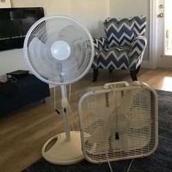 Pair Fan 