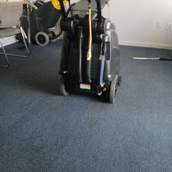 carpet cleaner 