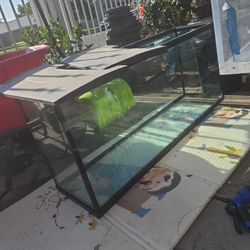 55 Gallon Glass Fish Tank