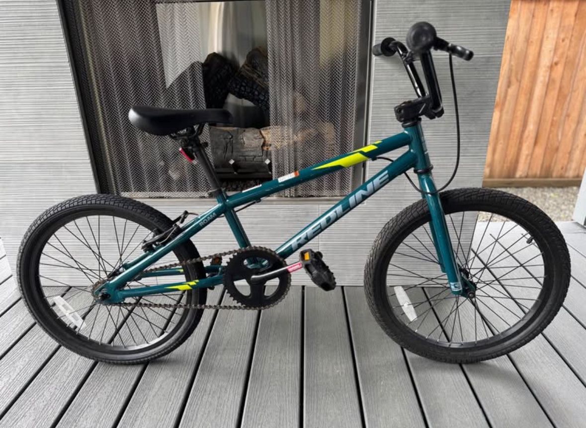 BMX Redline Roam