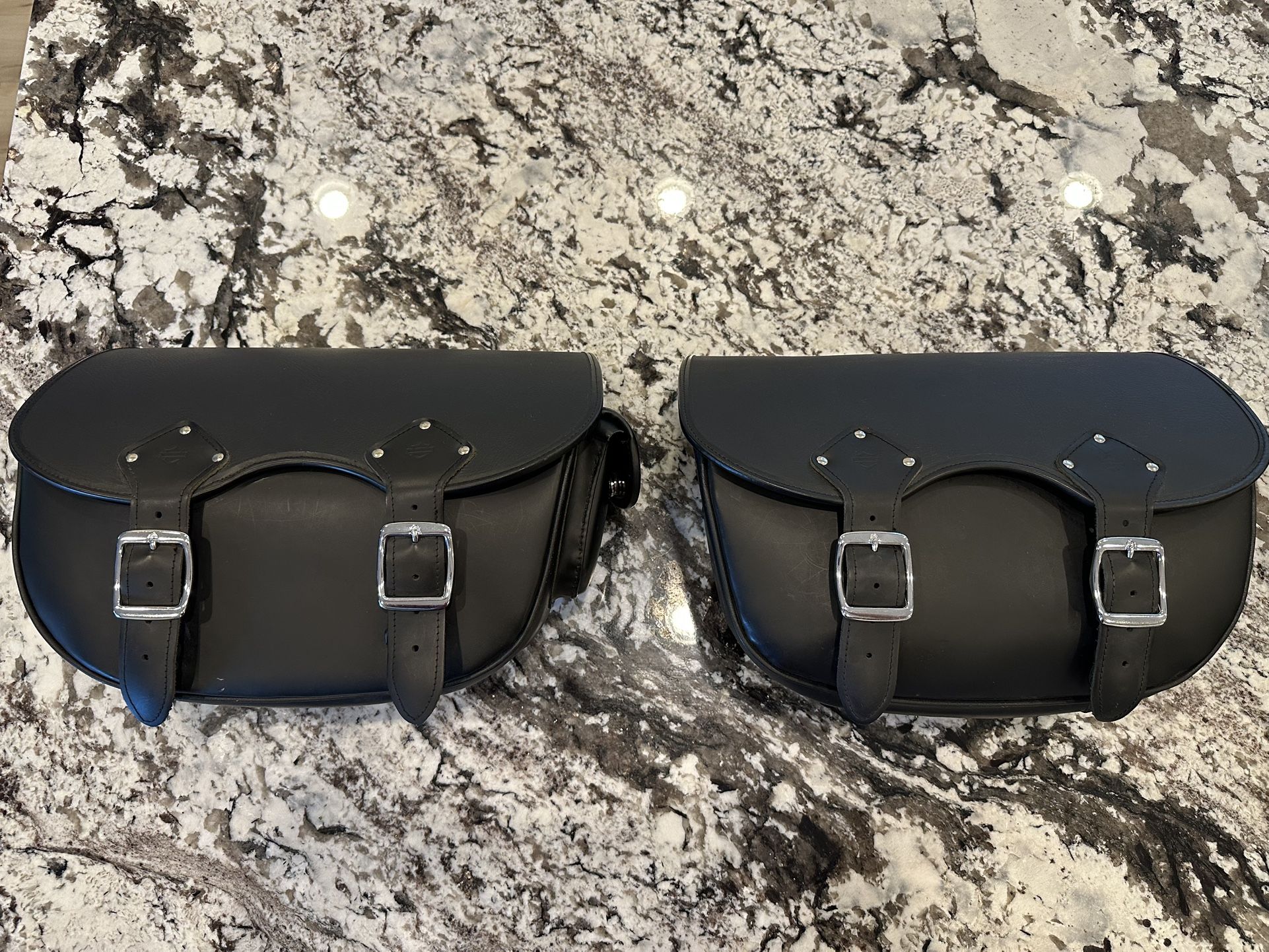 Harley Davidson Saddle Bags