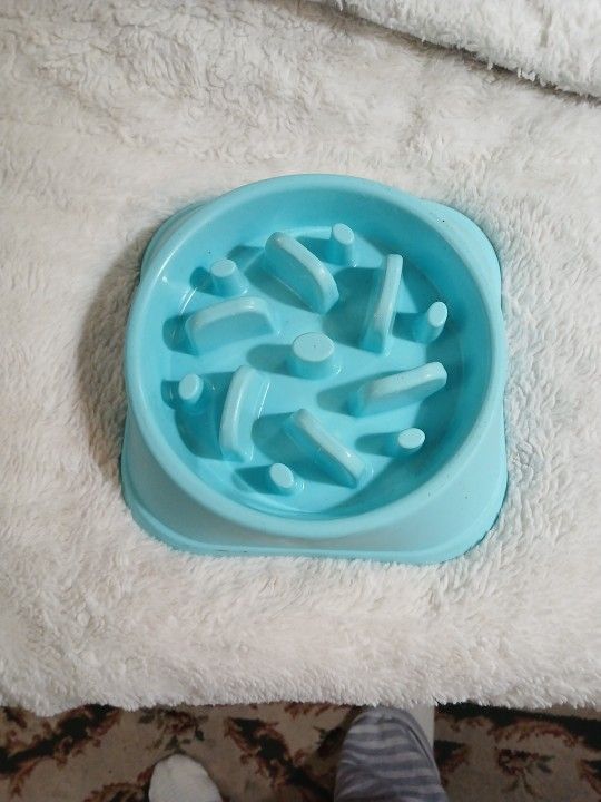 Puzzle Pet Food Bowl