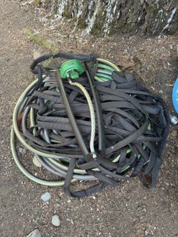 Garden Hose/sprinkler