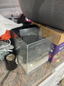 Aquariums Fish Tanks