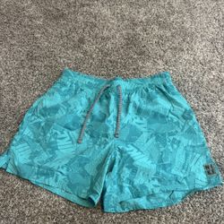 Nike Swim Trunks Size Xl