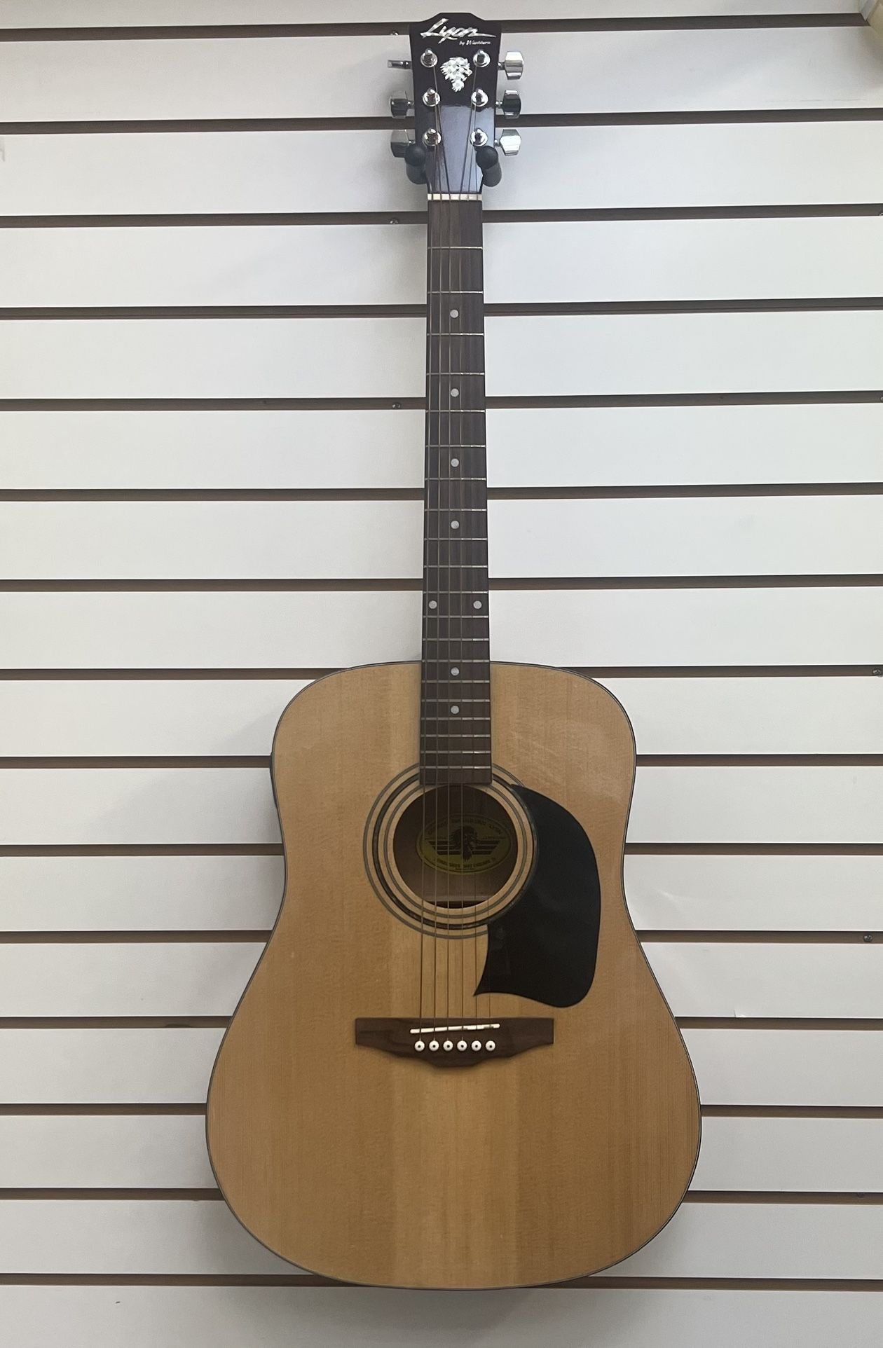 Lyon By George Washburn Acoustic Guitar LG1 Model LG1PAK With bag