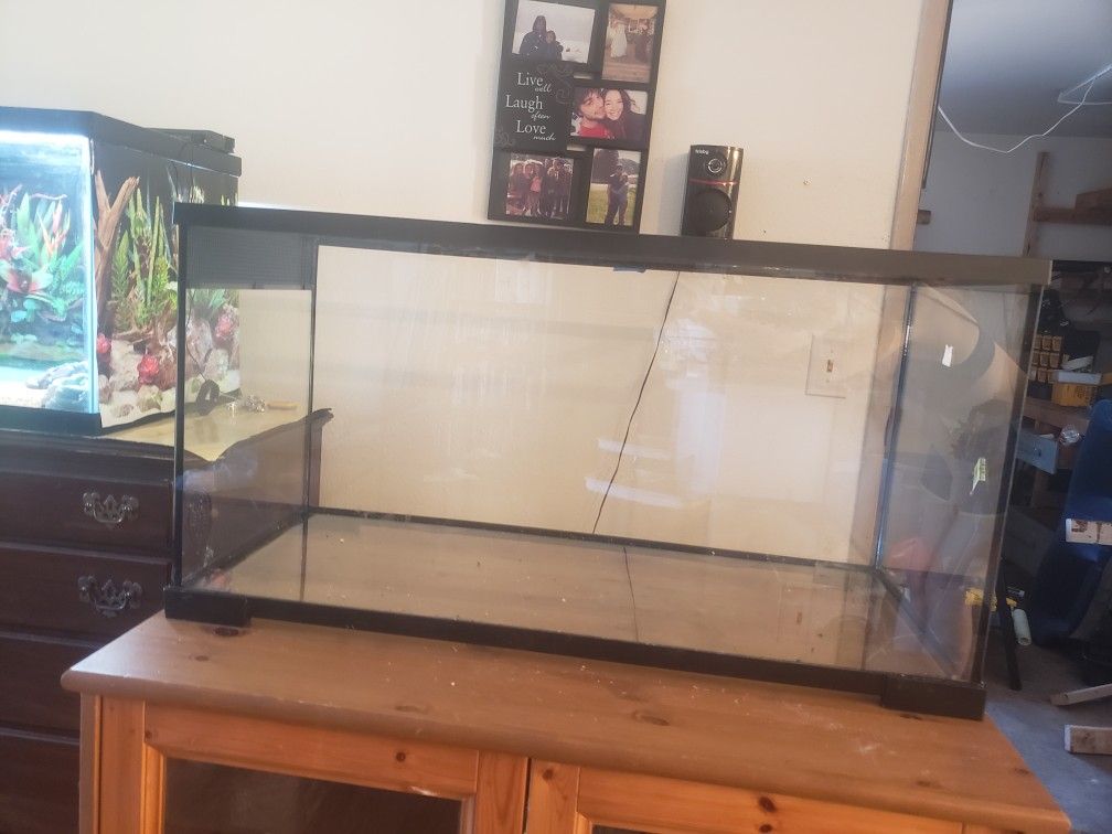 40 gallon reptile tank for Sale in Buckley, WA - OfferUp