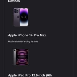 iPhone Deep Purple With iPad Verizon 