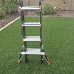 Little Giant Ladder