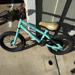 Toddler Bike