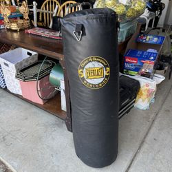 Everlast Boxing Heavy Bag