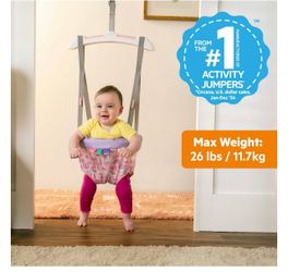 Bright Starts Purple Paradise Door Jumper - Like New