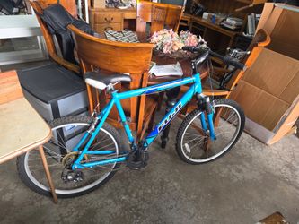 Fuji Odessa 1.0 by Schwinn