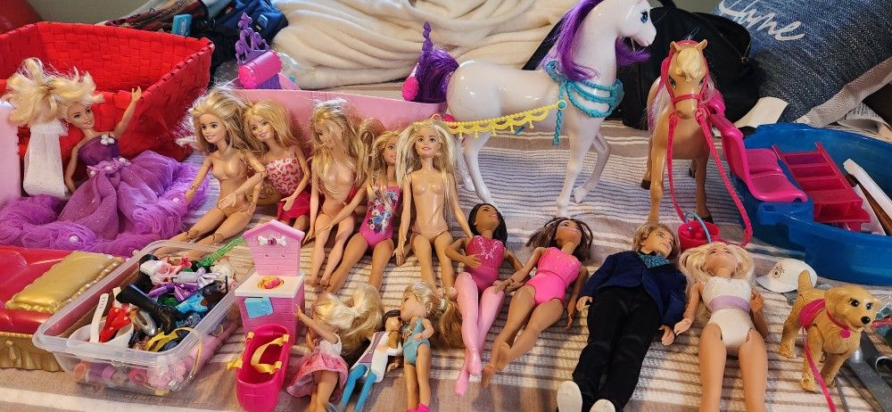 Whole Barbie Set Up