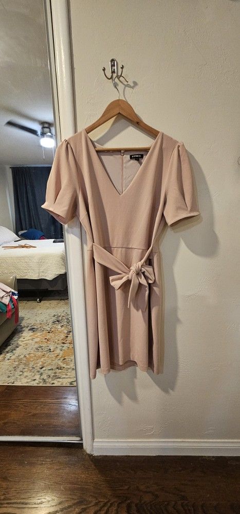 Express Blush Puff Sleeve Dress