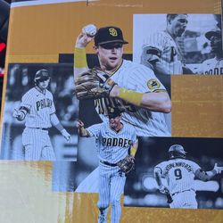 Jake Cronenworth Bobblehead 