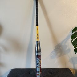 Softball Bat