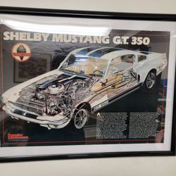 Framed Original 1989 Ford Mustang Shelby GT 350 Sales Brochure Poster 89