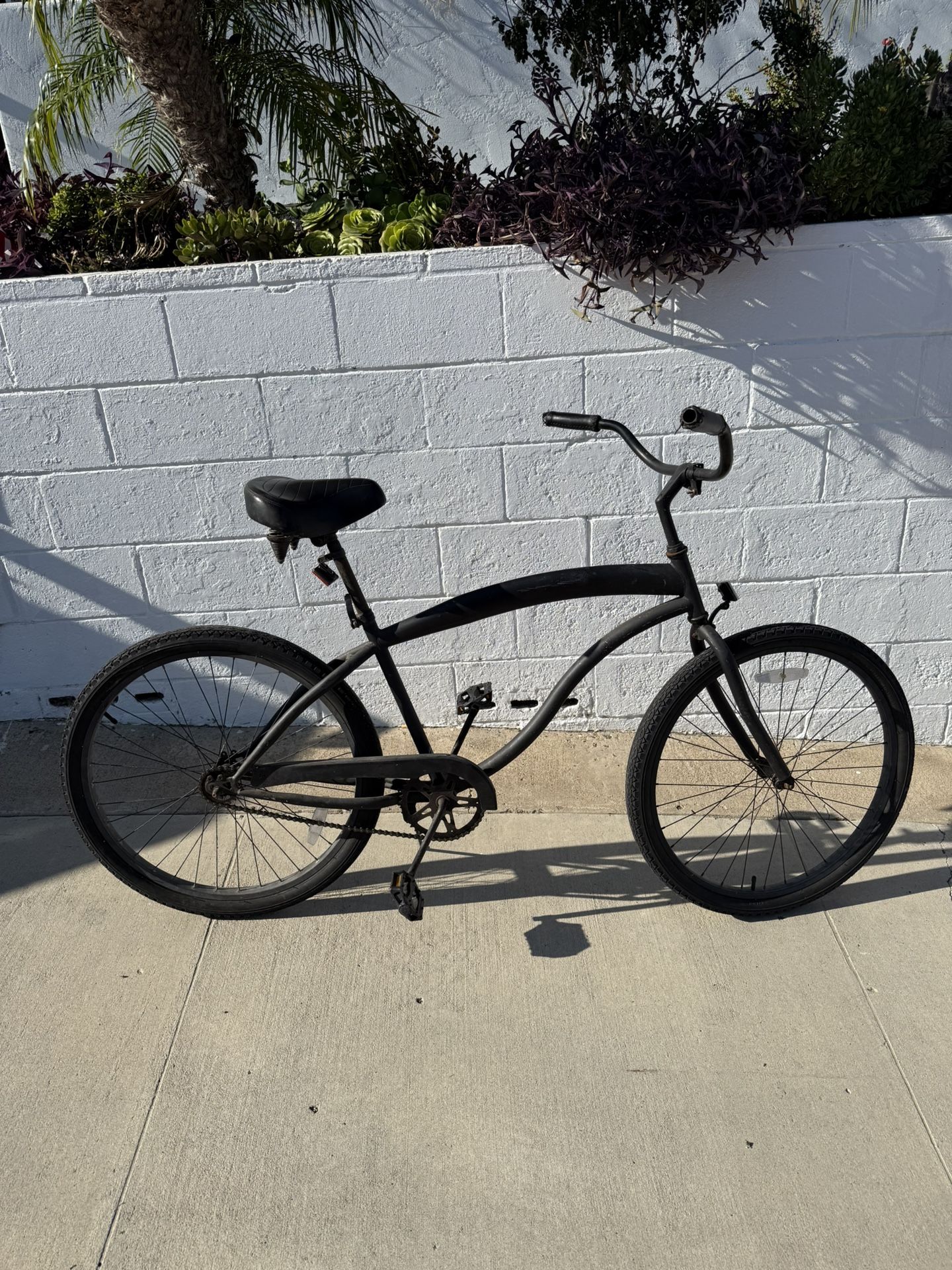 Matte Black Beach Cruiser