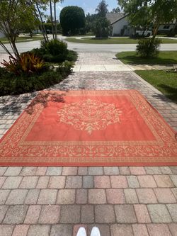 Large 10’ x 12’ Indoor Area Rug | Terracotta & Beige Medallion