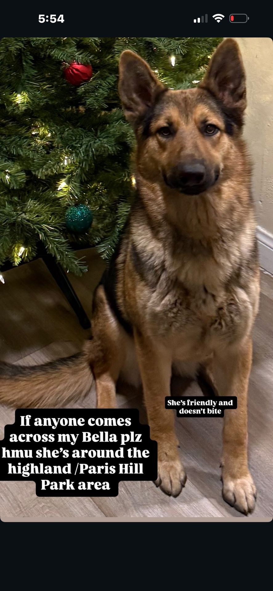 Help Bring My Dog Home