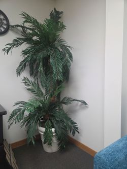 Decorative Faux Palm Tree 🌴