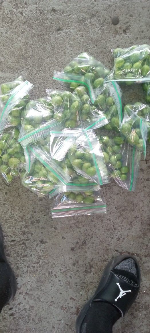 Mamoncillo/ Spanish Lime