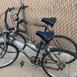 Schwinn Cruiser Bikes